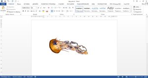 Как да редактирате картина в Word (промяна) Как да редактирате картина в Word