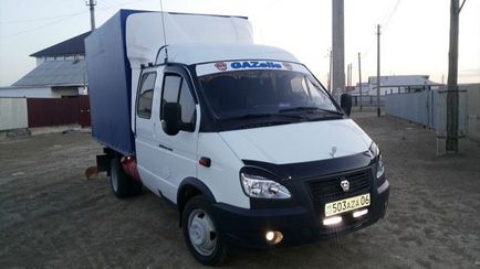Как да спечелим пари от газела (пари) Как да печелите пари от сърна