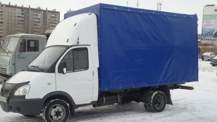 Как да спечелим пари от газела (Колко може да спечелите) Как да печелите пари от сърна