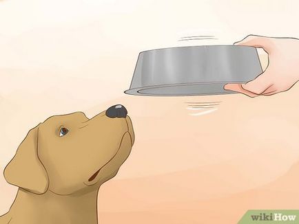 Как да стигнем на кучето да пие вода