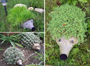 Flowerbeds на пластмасови бутилки (например слънчева различаващи страна) Легла на пластмасови бутилки