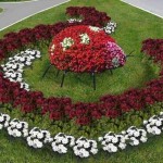 Flowerbeds в градината (45 снимки) предлага красиви, градински огради, идеи, снимки и видео