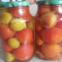 Домати консервирани, домати - (повече от 16 рецепти) със снимки на