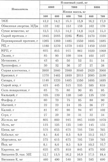 Хранене крави (хранене бременни крави сухи) хранене крави