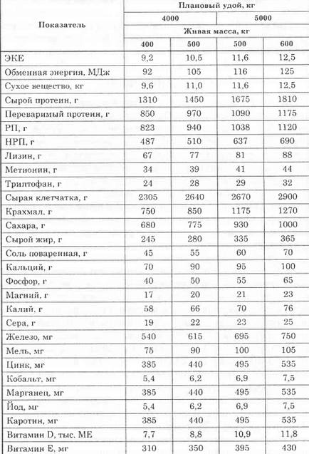 Хранене на крави (бременни сухи крави) хранене крави