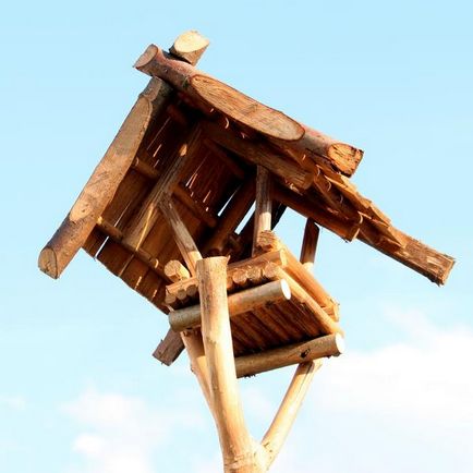 Хранилки за птици (птици) Хранилки за птици
