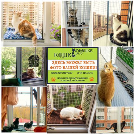 Feline балкон стационарни (котка) Feline балкон стационарен