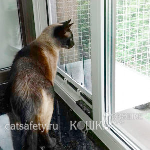 Feline балкон стационарна (тераса) Feline балкон стационарен