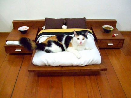 Легла за котки, като част от интериора идеи за дизайн