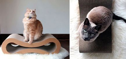 Легла за котки, като част от интериора идеи за дизайн