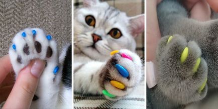 Scuff нокти котка силикон обхваща antitsarapki