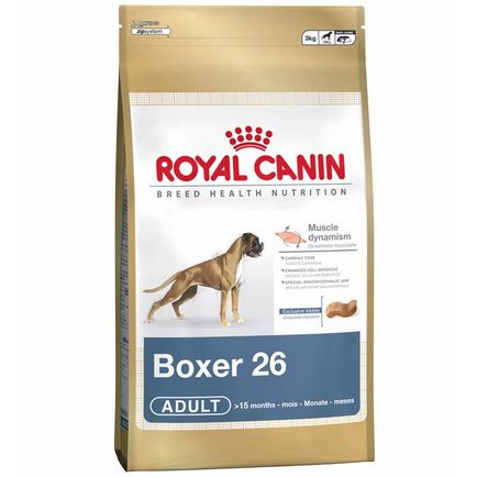 Boxer, най-хубавия охрана (боксьор куче) Boxer, най-хубавия охрана