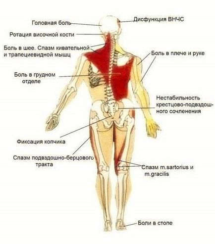 последици вреда (ефекти) Последиците от травми