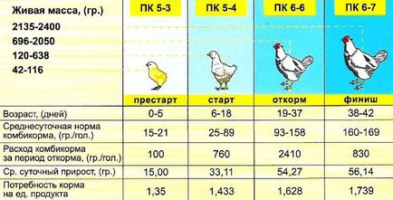 Условия за хранене бройлери у дома