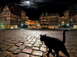 Вярвания и суеверия за котки