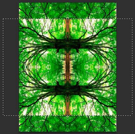 Обръщане, завъртане, огледално отражение на обекти в Photoshop (Въведете действие на приложения) Обратен завой, завъртате, обръщате обекти в Photoshop