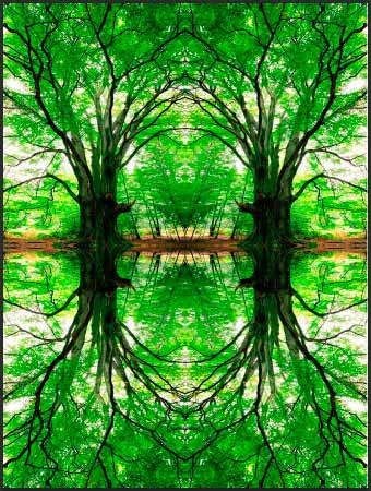 Обръщане, завъртане, огледално отражение на обекти в Photoshop (Въведете действие инструмент приложение) Обратен завой, завъртате, обръщате обекти в Photoshop