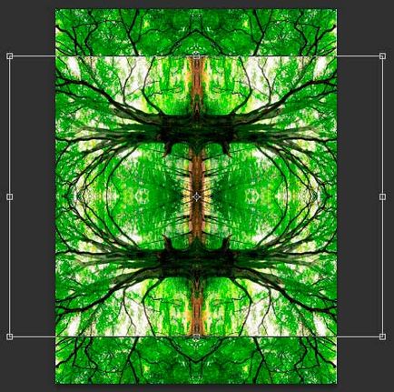 Обръщане, завъртане, огледално отражение на обекти в Photoshop (Въведете действие инструмент приложение) Обратен завой, завъртате, обръщате обекти в Photoshop