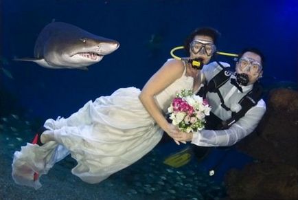 Най-красивата сватба в света, интересни факти