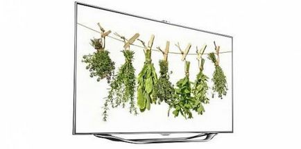 Smart TV в домашната си мрежа, как да свържете телевизора към вашата локална мрежа и компютъра - изборът на вида на