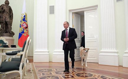 Куче JME, което Путин показа на журналистите, както и характера на президента - политик в света
