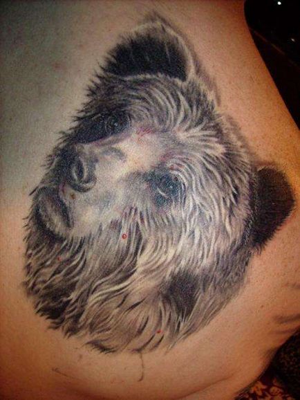 Татуировка мечка, мечка усмивка значение татуировка 22 снимка