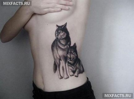 Wolf татуировка значение и снимки (Wolf Татуировка стойност) Wolf татуировка значение и снимки