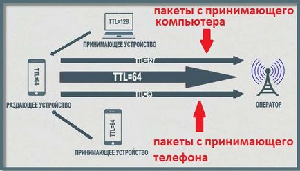 TTL - какво е това и защо го промените