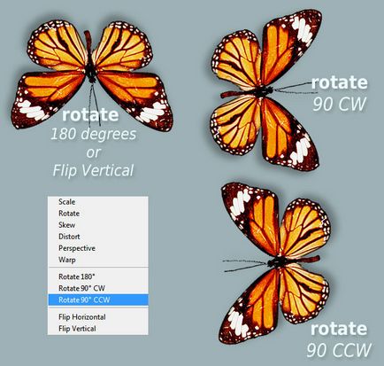 Научете как да се върти обекти в Photoshop - Photoshop Основи (използване) Научете как да се върти обекти в Photoshop - Photoshop Основи