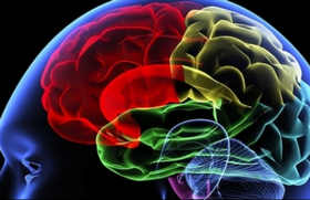 мозъка обучение ултразвук, преглед, препис, цени
