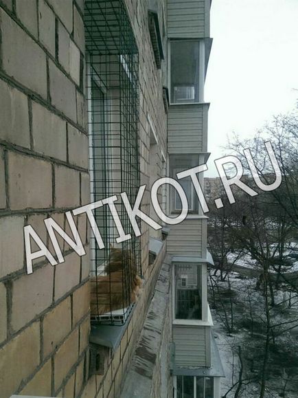 Paddock на прозорец котка (балкон) в Москва