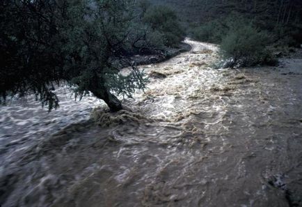 Внезапно покачване на нивото на водата в реката, когато това се случва (на водата) Внезапно покачване на нивото на водата в реката, когато това се случва