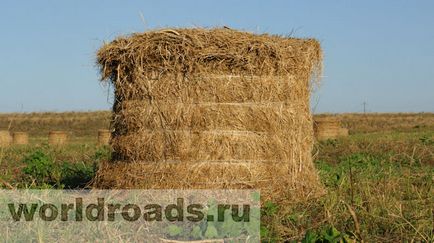 В търсене на съкровища от древна крепост, пътища на света