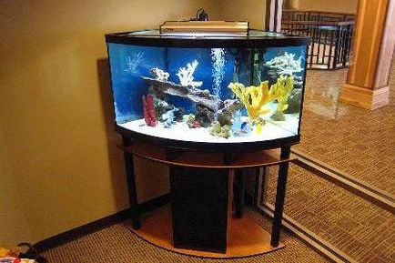 Ъглов аквариум като рационално решение на една малка стая интериор