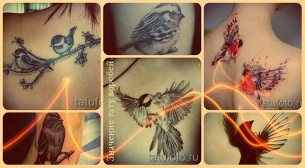 Значение татуировка врабче - значение, история и фото примери за татуировки