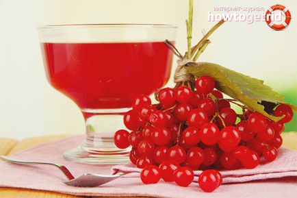Сок калины полезные свойства