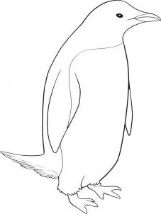 sfaturi simple despre cum să atragă un creion etape pinguin