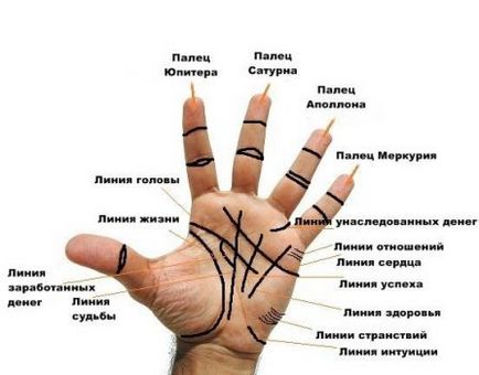 Tenyérjóslás jelek a kéz élet vonal, dombok, csillag és háromszög