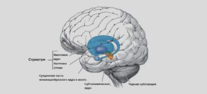 Boala Huntington simptome, diagnostic și tratament