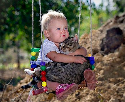 Ha a gyermek kéri a cica az egészséges életmódot! Az egészséges életmódot!