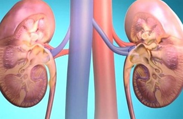 Simptomele glomerulonefrită și tratamentul copiilor, adulți, femei și bărbați