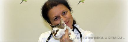 sindromul de ochi roșii la pisici și câini, clinica veterinara Bambi