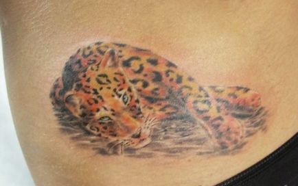Tattoo párduc, jaguár, leopárd, puma
