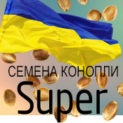 6 Кроків до вирішення 99% проблем конопель