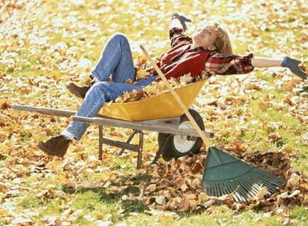 7 Idei utile despre ce să faceți cu frunzele căzute