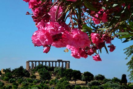 Agrigento - italiană în rusă