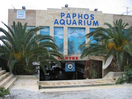 Akvárium Paphos (Ciprus) leírása, fotók, irányokat, történelmi adatok