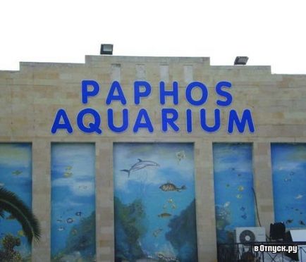 Akvárium Paphos (Paphos akvárium) leírása és képek