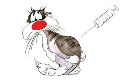 Алергія у кішок