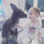 Állat-bérlés egy fotózásra Moszkvában kiképzett állatok nyaralás érdekében olcsó (kiadó egzotikus állatok) Állat-bérlés egy fotózásra Moszkvában kiképzett állatok nyaralás érdekében olcsón